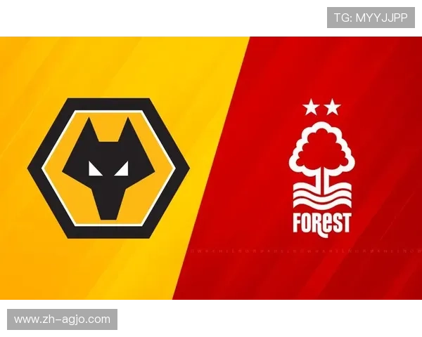 英超狼队37号球员资料与2025赛季表现汇总 英超狼队37号球员资料与2025赛季表现汇总